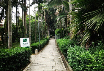 厦门华侨亚热带植物引种园第 15 张图片