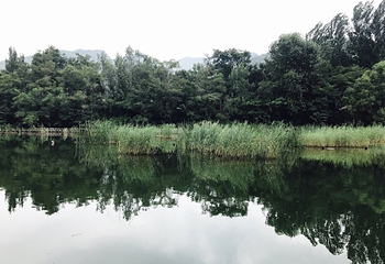 峨庄瀑布群风景区第 8 张图片