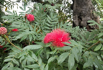 花城广场第 134 张图片