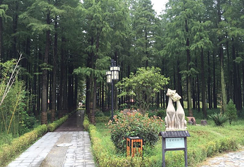 泗洪洪泽湖湿地温泉度假村第 17 张图片
