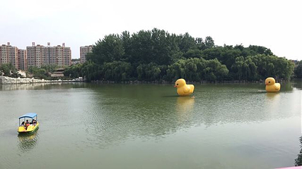 神州鸟园第 34 张图片