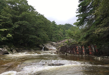云雾山风景区第 23 张图片