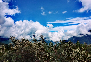 合欢山风景区第 14 张图片