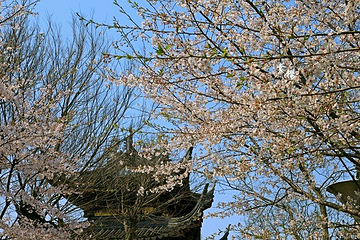 长广溪湿地公园第 18 张图片