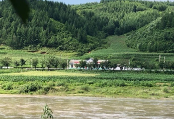 圈河口岸第 4 张图片