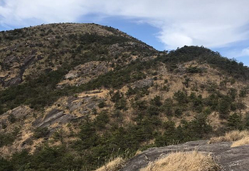 龙泉山旅游区第 54 张图片