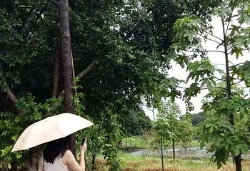 广州市世外桃源度假村第 26 张图片