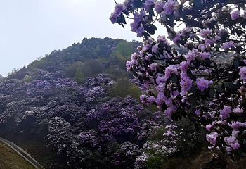 乌蒙大草原第 12 张图片