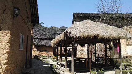古田山自然保护区第 8 张图片