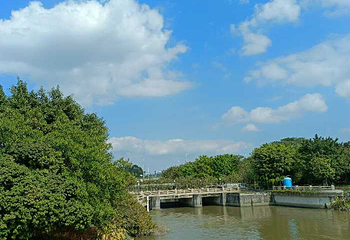 海珠国家湿地公园第 35 张图片