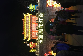 淄博花灯齐彩城第 34 张图片