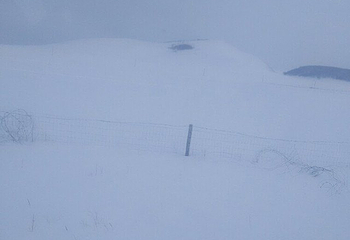 道谷南山滑雪场第 29 张图片