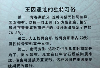 兖州市博物馆第 4 张图片