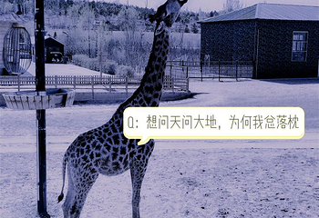 鄂尔多斯野生动物园第 36 张图片