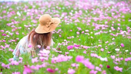 烟集花海薰衣草庄园第 16 张图片