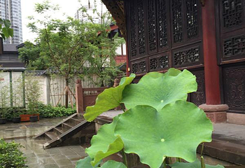 郑东新区湿地公园第 9 张图片