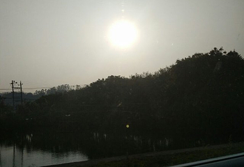 福友生态农场第 8 张图片