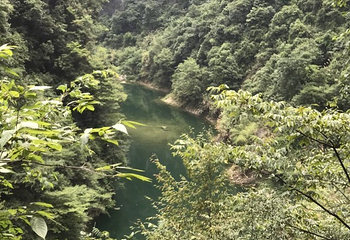 马拉河第 19 张图片