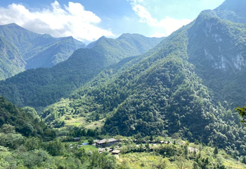 武陵山大裂谷第 19 张图片