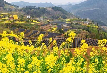 三峡大坝旅游区第 33 张图片