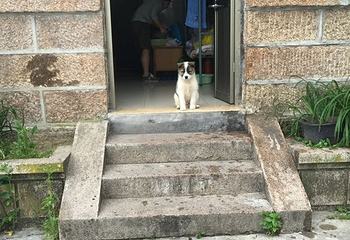 上海至黄山巴士第 8 张图片