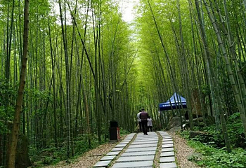 宜春花博园第 12 张图片