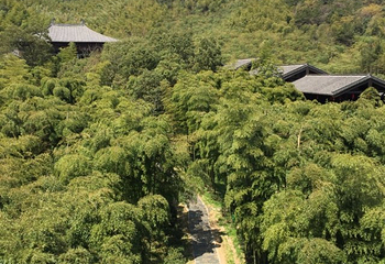 重庆城市精英真人CS铁山坪森林公园店第 15 张图片