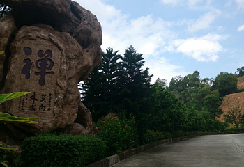 金台寺第 18 张图片