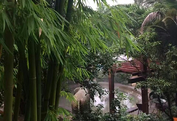 麒麟温泉spa第 15 张图片