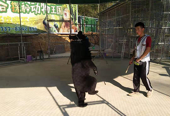 桃江安宁竹谷生态景区第 11 张图片