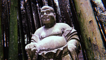 武陵山国家森林公园第 63 张图片