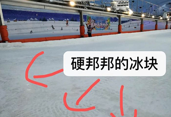 奇想探索乐园第 19 张图片