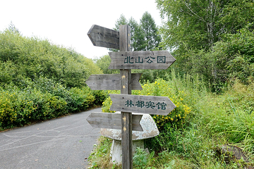 小兴安岭植物园第 18 张图片