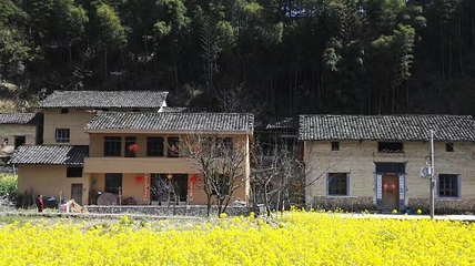 古田山自然保护区第 6 张图片