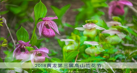 黄龙风景名胜区第 12 张图片