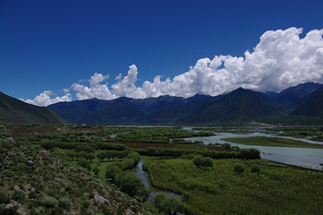 尼洋河风光带景区第 3 张图片
