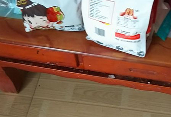 开封极地海洋世界第 20 张图片