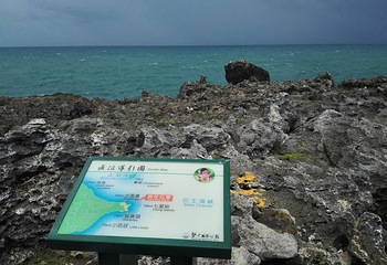 龙坑第 15 张图片
