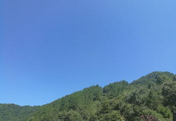 英山桃花冲大峡谷漂流第 30 张图片