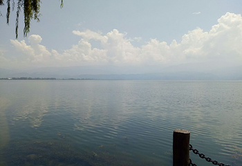 龙泉湖第 5 张图片
