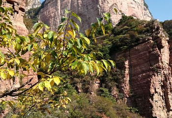 嶂石岩第 33 张图片