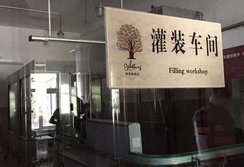 欧菲堡酒庄有机葡萄园第 20 张图片
