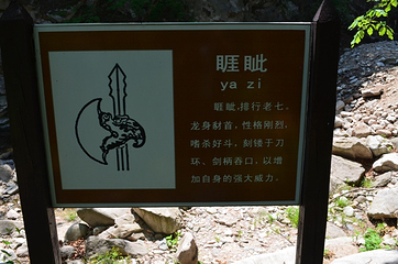 龙潭湾第 19 张图片