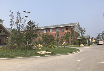 金沙岛第 42 张图片