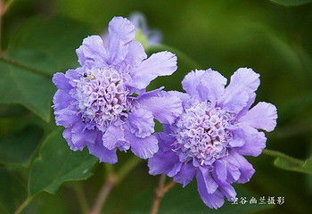 林虑山第 8 张图片