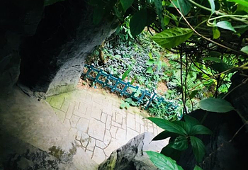 宜春花博园第 8 张图片