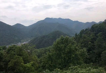 琴溪香谷景区第 40 张图片