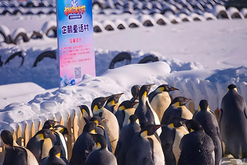 老虎滩海洋公园第 2 张图片
