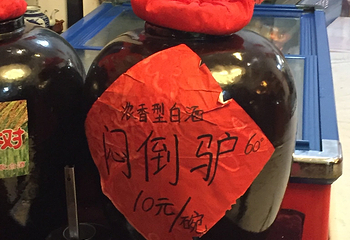 海王九岛第 6 张图片