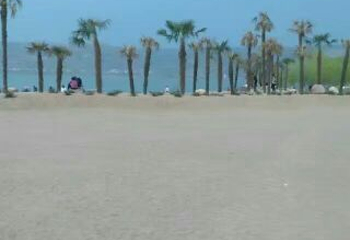 千湖国家湿地公园第 23 张图片